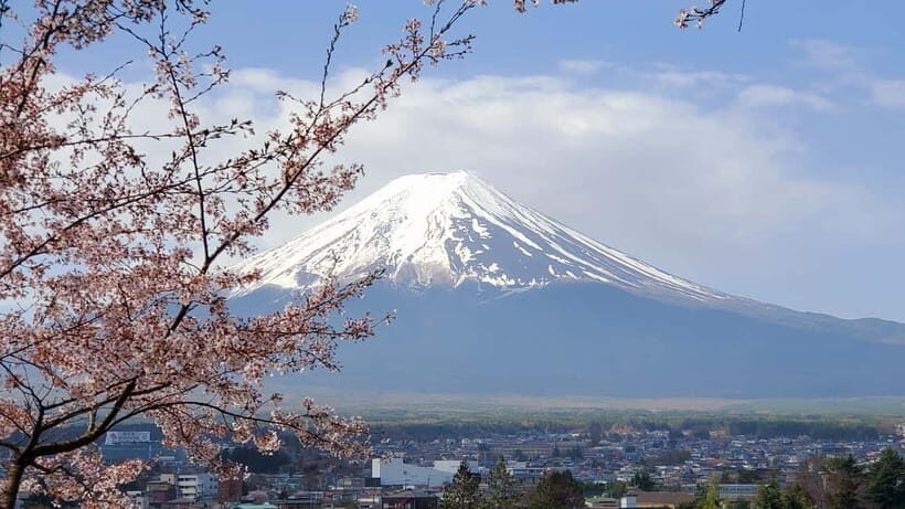 Mount Fuji & Hakone Full-Day Private Tour (Customizable) - Pickup in Tokyo: plan your morning like a pro