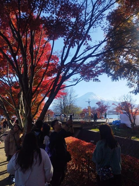 Mount Fuji - Hakone & Onsen Full Day Private Tour - Ōwakudani Volcanic Valley: Steam Vents and the Black Eggs
