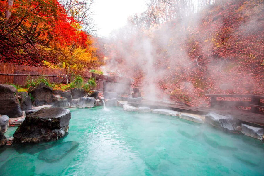 Mount Fuji - Hakone & Onsen Full Day Private Tour - Hakone Open-Air Museum: Modern Art Outside, Foot Bath Side Quest