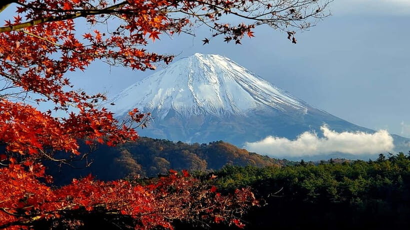 Mount Fuji & Hakone Private Tour with Bullet Train Return - Key takeaways before you go