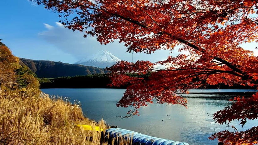 Mount Fuji & Hakone Private Tour with Bullet Train Return - Fuji Views First: Chureito Pagoda and Mt. Fuji Lookouts