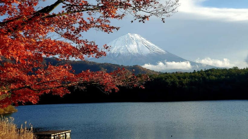 Mount Fuji & Hakone Private Tour with Bullet Train Return - Bullet Train Return from Odawara: The Easy Ending with One Catch