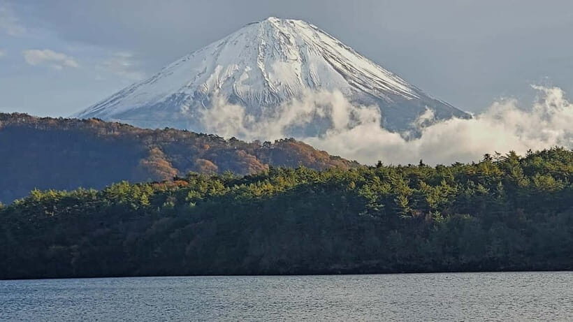Mount Fuji & Hakone Private Tour with Bullet Train Return - What $280 Buys You (and What It Doesn’t)