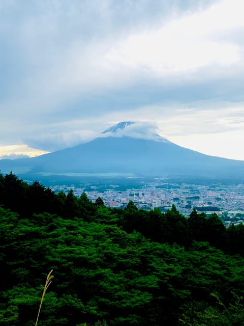 Mount Fuji Hakone with English-speaking Guide - Key things I’d circle before booking
