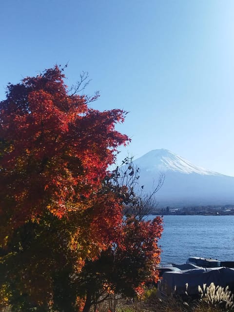 Mount Fuji-Lake Kawaguchi Private Tour with Bilingual Driver - Key Things I’d Do Right Away