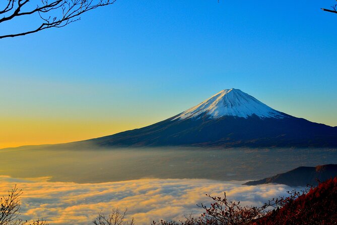 Mount Fuji (Mt. fuji) private tour by car with pickup from Tokyo - Chureito Pagoda and Arakura Sengen Shrine: The Classic Fuji Frame