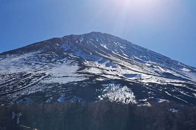 Mount Fuji (Mt. fuji) private tour by car with pickup from Tokyo - Lake Kawaguchiko: Lunch Options and the Real-World Fuji Area