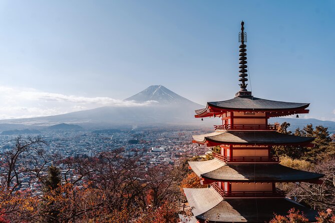 Mount Fuji (Mt. fuji) private tour by car with pickup from Tokyo - Oishi Park and Saiko Iyashi no Sato Nemba: Two Ways to Slow Down