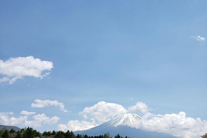 Mount Fuji (Mt. fuji) private tour by car with pickup from Tokyo - Onsen and Shopping Options: Where the Day Becomes Comfortable
