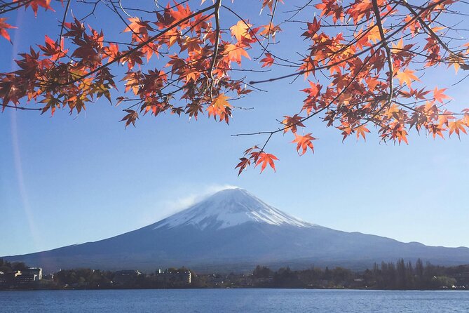 Mount Fuji (Mt. fuji) private tour by car with pickup from Tokyo - Oshino Hakkai: Clear Ponds, Snowmelt Physics, and a Very Fuji Mood