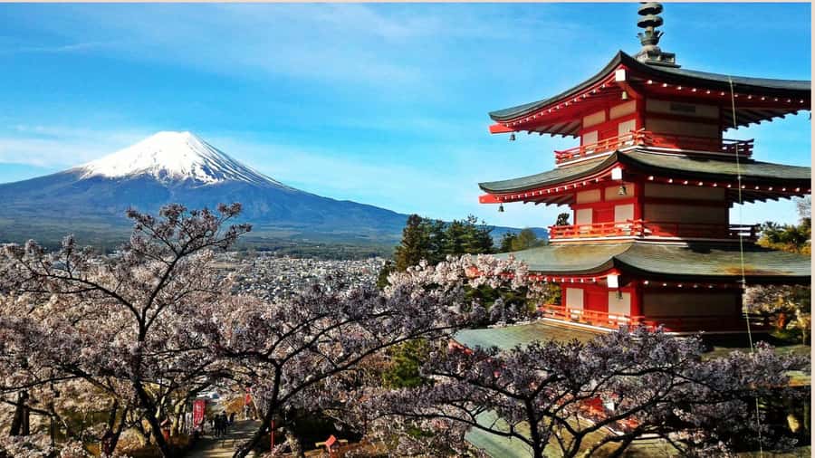 Mount Fuji One Day Private Tour With English Speaking Driver - A private Mt. Fuji day that actually lets you set the pace