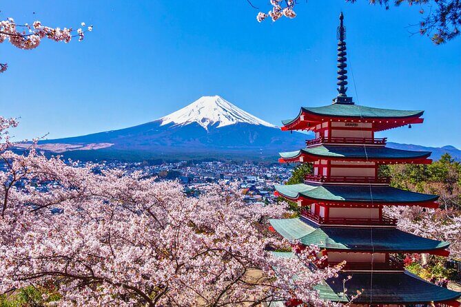 Mount Fuji Private Custom Tour with Local English Speaking Guide - Key highlights at a glance