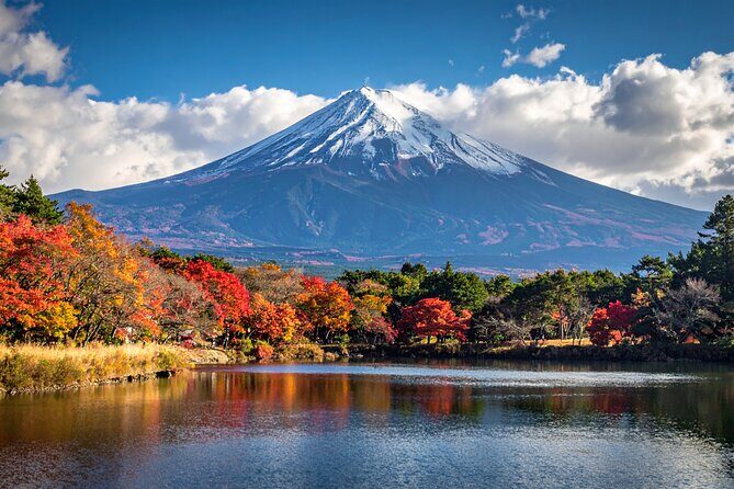 Mount Fuji Private Custom Tour with Local English Speaking Guide - A private Mt. Fuji day that you can actually steer