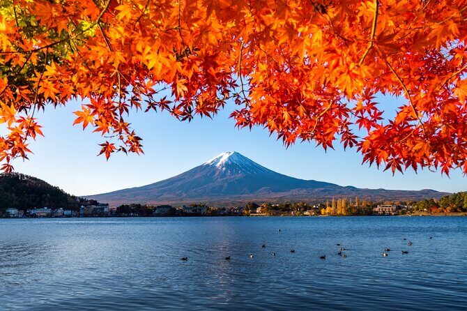 Mount Fuji Private Custom Tour with Local English Speaking Guide - Stop-by-stop: from Subaru Line 5th Station to Fuji Five Lakes views