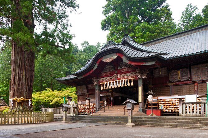 Mount Fuji Private Custom Tour with Local English Speaking Guide - Optional add-ons that you choose based on mood