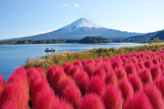 Mount Fuji Private Custom Tour with Local English Speaking Guide - Timing and pacing: how to make the most of short stops