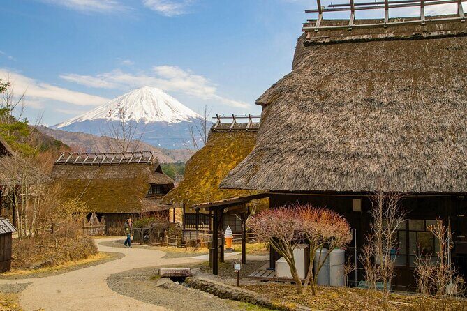 Mount Fuji Private Custom Tour with Local English Speaking Guide - Vehicle comfort matters more than you think