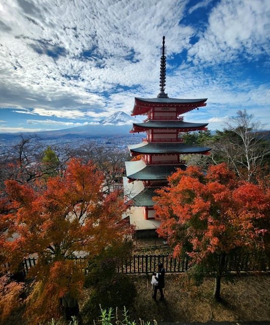 Mount Fuji Private day tour from Tokyo private & Customized - Where the Tour Starts: Pickup, Timing, and Ride Comfort