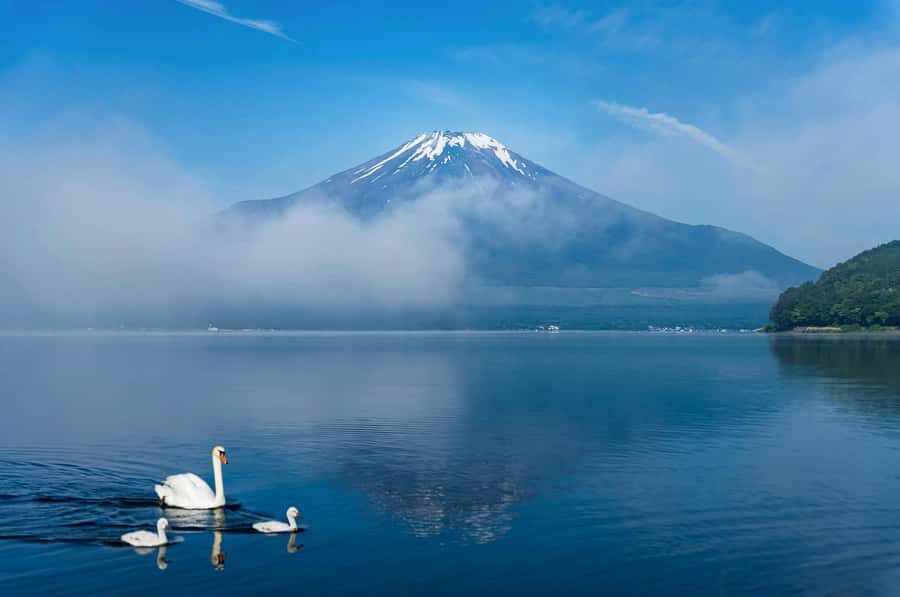 Mount Fuji Private Day Trip With Customizable Itinerary - Fuji lakes, ropeways, and cable car moments