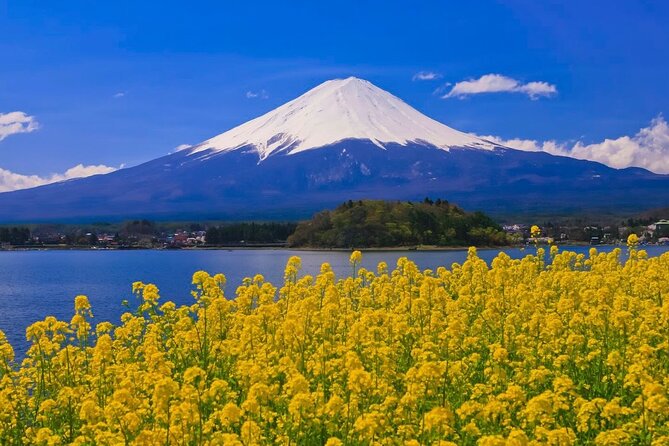 Mount fuji Private Tour - Lake Kawaguchiko first: the classic Fuji setting and why timing matters