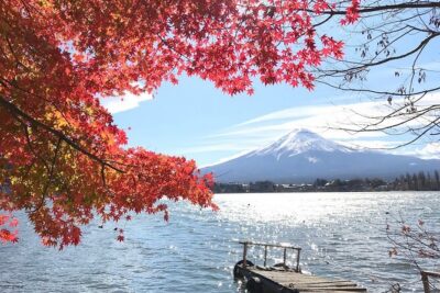 Mount fuji Private Tour - Narusawa Ice Cave: a cold, quick win if you’re okay with walking