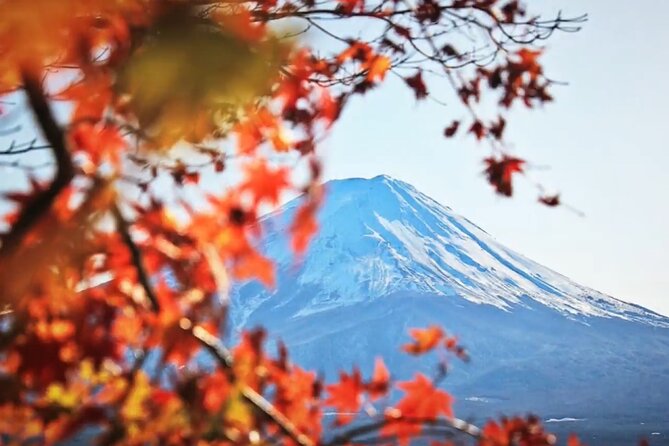 Mount fuji Private Tour - Lake Ashinoko cruise time: where the pace eases for a change