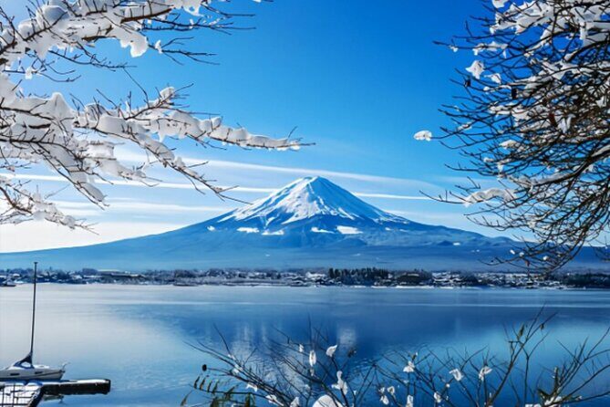 Mount Fuji Private Tour from Tokyo with English Speaking Driver - Key Highlights Worth Your Time