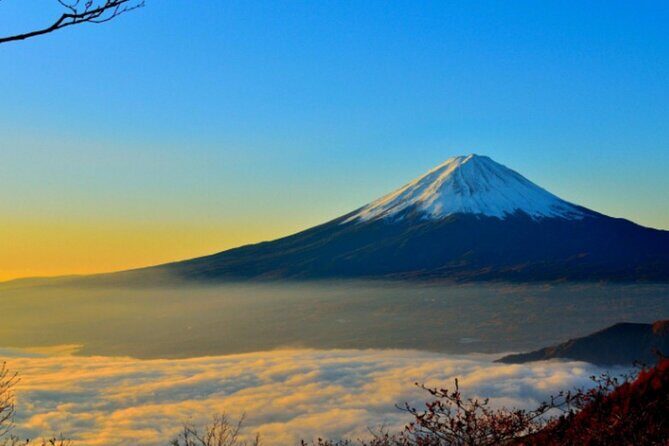 Mount Fuji Private Tour from Tokyo with English Speaking Driver - A Private Fuji Day That Actually Feels Flexible