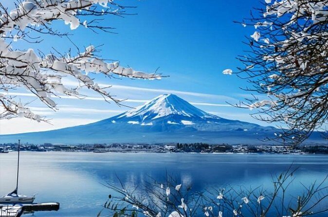Mount Fuji Private Tour from Tokyo with English Speaking Driver - Oshino Hakkai: Spring Ponds, Snacks, and Straightforward Fuji Atmosphere