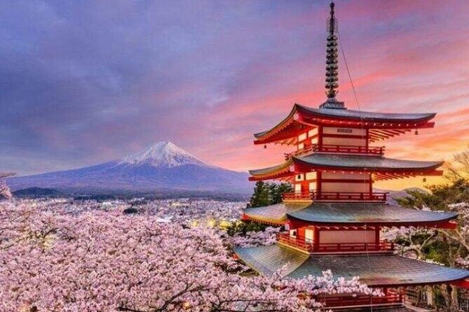 Mount Fuji Private Tour from Tokyo with English Speaking Driver - Mt. Fuji 5th Station at Around 2,300 Meters
