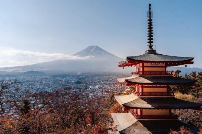 Mount Fuji Private Tour from Tokyo with English Speaking Driver - Gotemba Premium Outlets: Fuji Views While You Shop