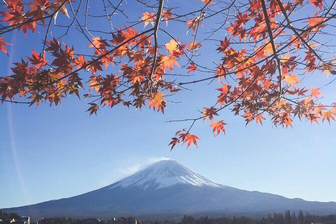Mount Fuji Private Tour With English Speaking Driver - The guide makes a difference (and it shows)