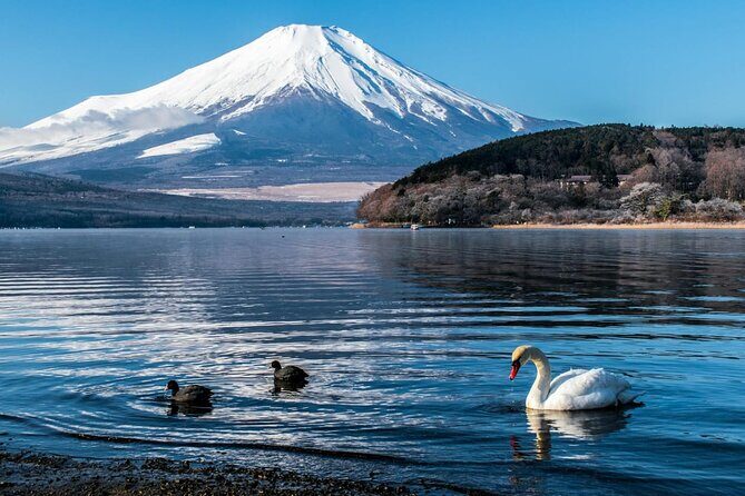 Mount Fuji Private Tour With English Speaking Driver - Who should book this private Mount Fuji tour?