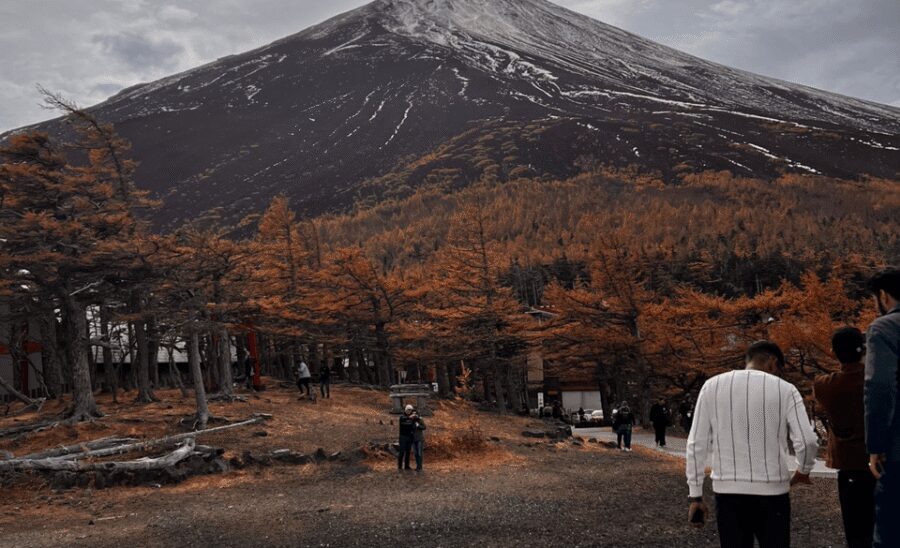 Mount Fuji Sightseeing tour with English speaking guide - Owakudani Valley and Hakone: the scenery shifts