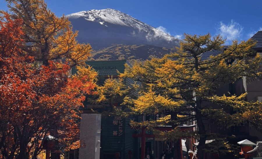 Mount Fuji Sightseeing tour with English speaking guide - Pickup, timing, and the big one: reliability