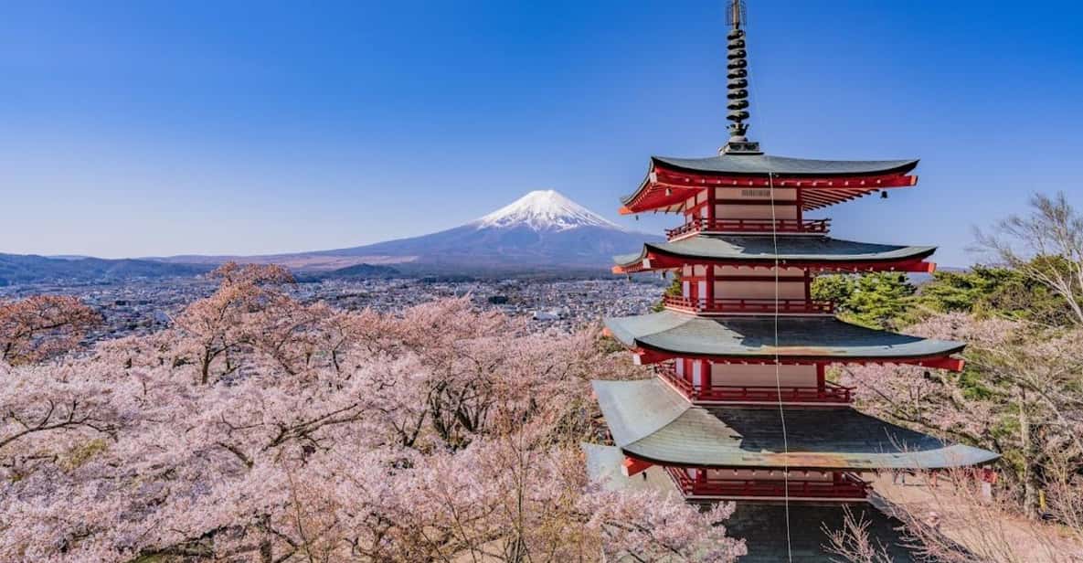 Mount Fuji Trip with English speaking guide ( customizable) - A Tokyo-to-Mt. Fuji day that’s built around your pace