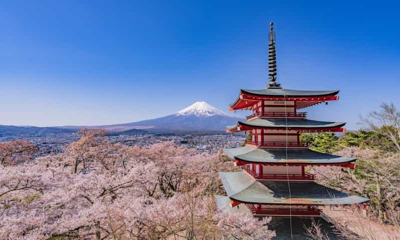Mount Fuji Trip with English speaking guide ( customizable) - Price and logistics: what the $407 covers (and what costs extra)