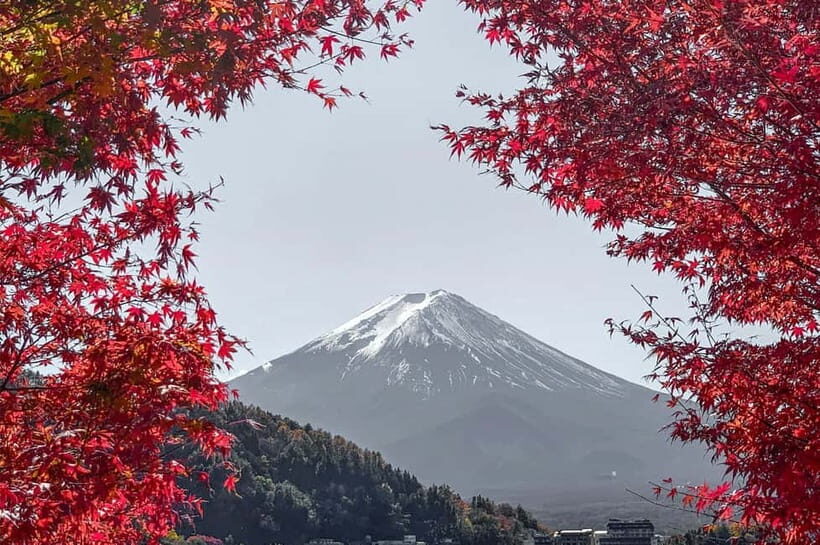 Mount Fuji,Lake Kawaguchiko Private Tour By Car With Pick Up - Why This Mount Fuji + Fuji Five Lakes Private Car Day Trip Works
