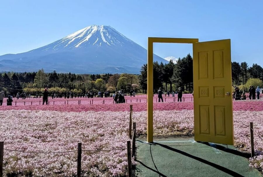 Mount Fuji,Lake Kawaguchiko Private Tour By Car With Pick Up - Lake Kawaguchiko Views (Plus Oishi Park) Without Needing a Plan B