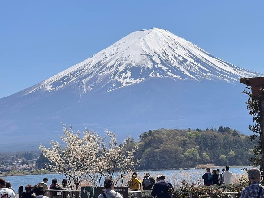 Mount Fuji,Lake Kawaguchiko Private Tour By Car With Pick Up - How the Guide Makes or Breaks the Experience (Meet Ali, Mr. Tahir, and Mr. Ameer)