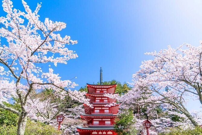 Mt. Fuji 5th, Oshino Hakkai, Onsen Full-Day Trip From Tokyo - Konohananoyu Onsen vs Gotemba Premium Outlets: Choose Your Ending