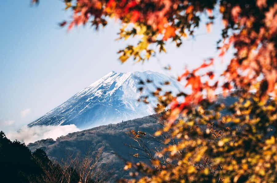 Mt. Fuji 6 Attractions Tour: Lake Kawaguchi, Oshino Hakkai - Key Things I’d Pay Attention To