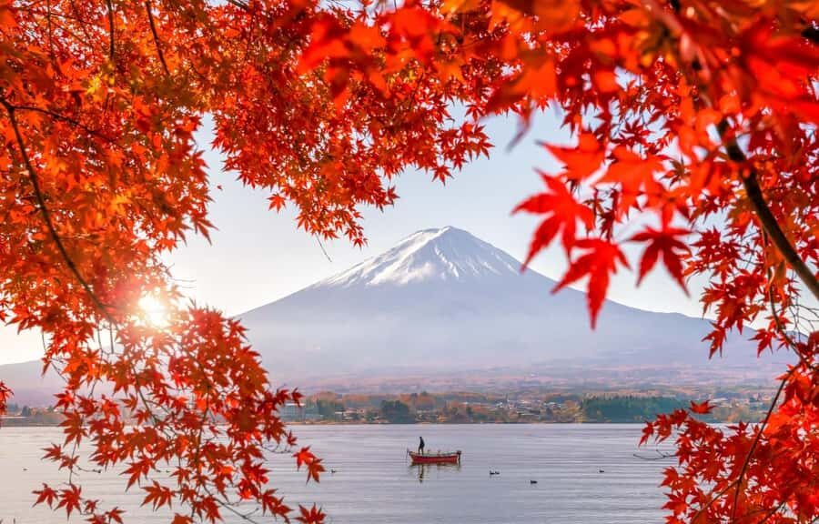 Mt. Fuji 6 Attractions Tour: Lake Kawaguchi, Oshino Hakkai - Arakura Sengen Shrine and Shinkurayama Sengen Park: The 398 Steps Moment