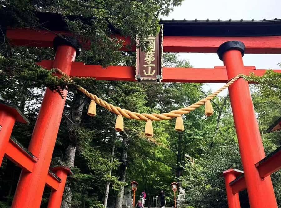 Mt. Fuji 6 Attractions Tour: Lake Kawaguchi, Oshino Hakkai - Oshino Hakkai: When Mt. Fuji Snow Becomes Drinking-Water Magic