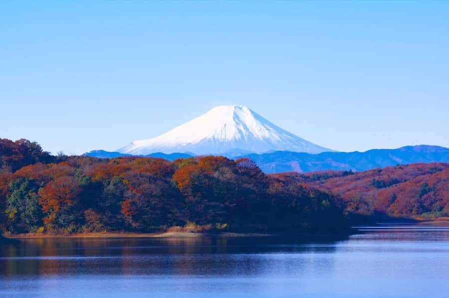 Mt. Fuji 6 Attractions Tour: Lake Kawaguchi, Oshino Hakkai - Seasonal Bonus: Maple Corridor or Cherry Blossom Festival (Depending on Timing)