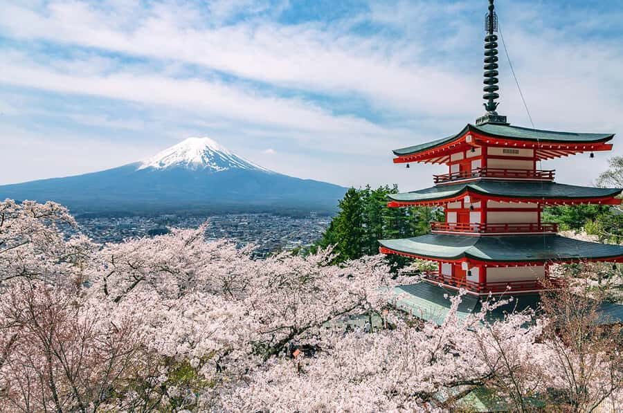 Mt. Fuji 6 Attractions Tour: Lake Kawaguchi, Oshino Hakkai - Timing, Group Pace, and Getting Back to Tokyo (Sometimes Late)