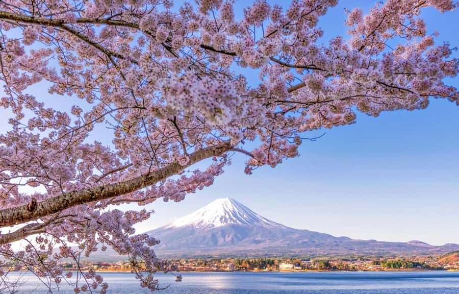 Mt. Fuji 6 Attractions Tour: Lake Kawaguchi, Oshino Hakkai - Leaving Tokyo at 8:00 AM and the Coach Ride That Actually Works