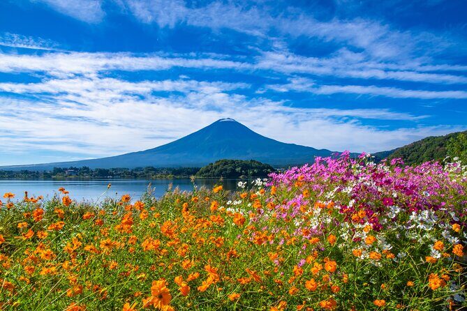 Mt. Fuji and Hakone 1 Day Bus Tour + Kimono Experience - Owakudani Valley: volcanic steam, sulfur vents, and Hakone’s dramatic mood