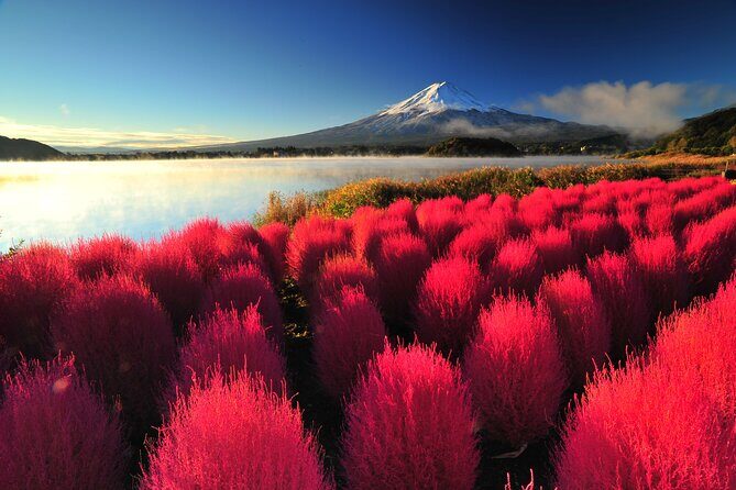 Mt. Fuji and Hakone 1 Day Bus Tour + Kimono Experience - Odawara and the Odakyu Romancecar ride back to Shinjuku