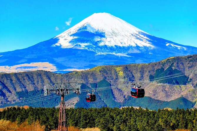 Mt Fuji and Hakone 1-Day Bus Tour Return by Bus - Hakone Ropeway: cable car views that actually feel like a treat